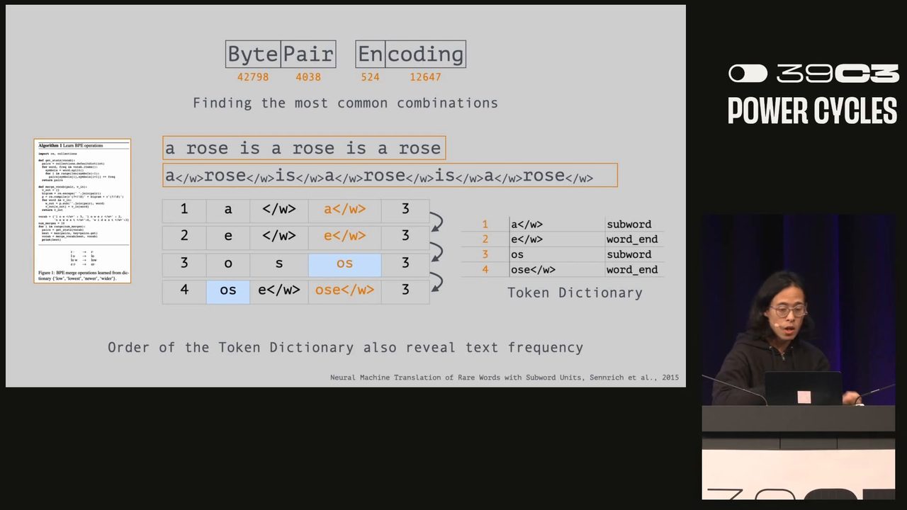 51 Ways to Spell the Image Giraffe: The Hidden Politics of Token Languages in Generative AI
